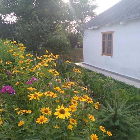 Соколине Гніздо Villa Dmitrenki Exteriör bild