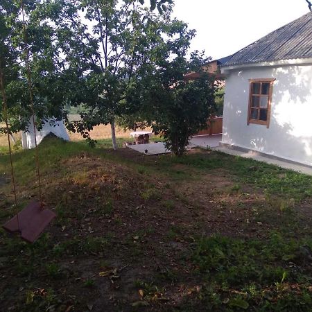 Соколине Гніздо Villa Dmitrenki Exteriör bild