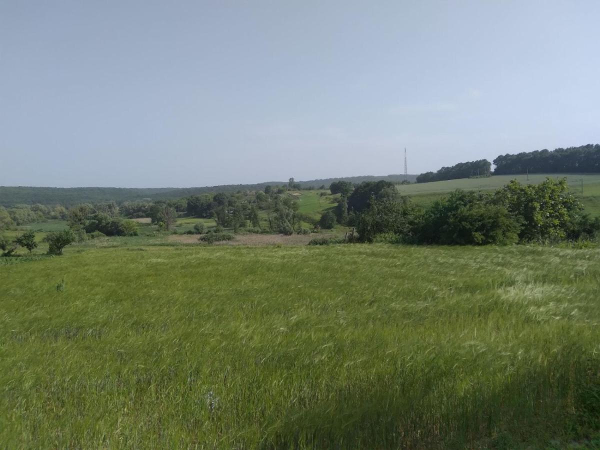 Соколине Гніздо Villa Dmitrenki Exteriör bild