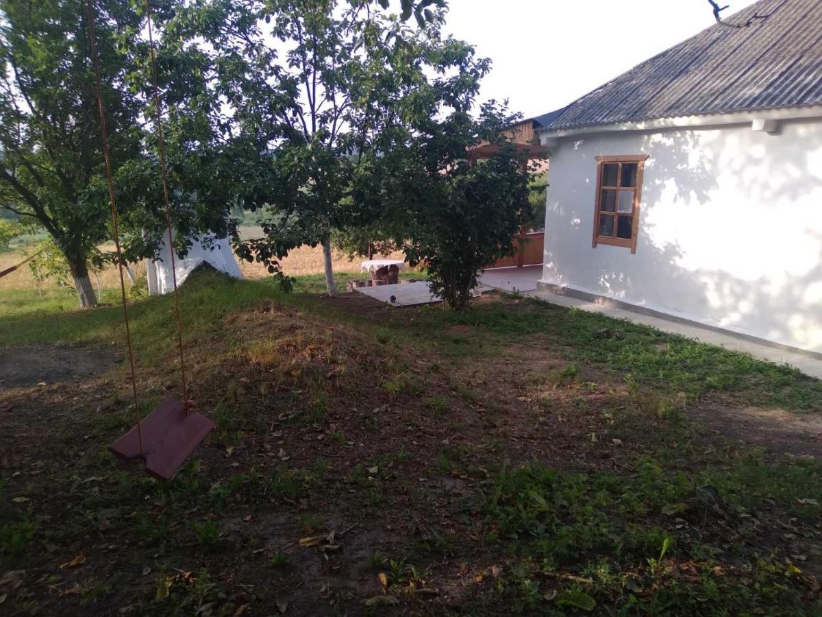 Соколине Гніздо Villa Dmitrenki Exteriör bild