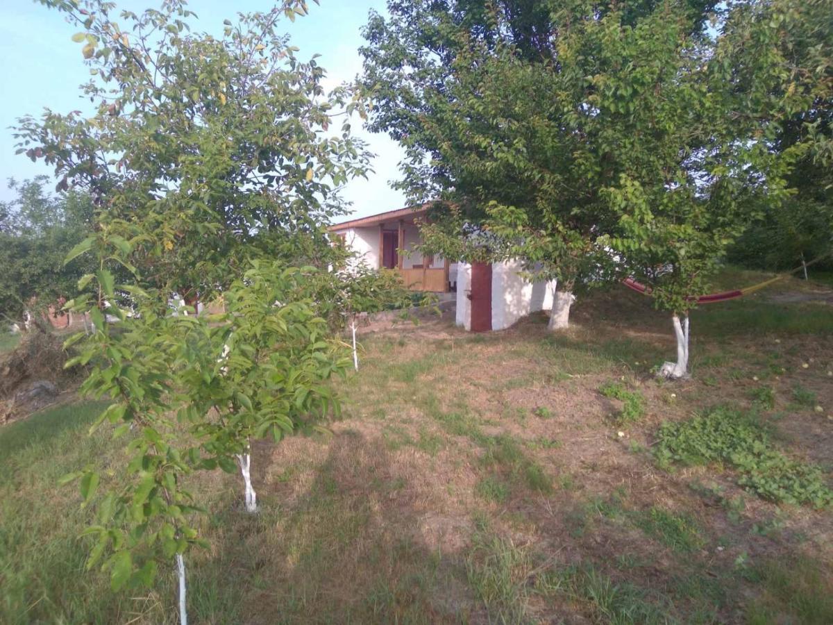Соколине Гніздо Villa Dmitrenki Exteriör bild